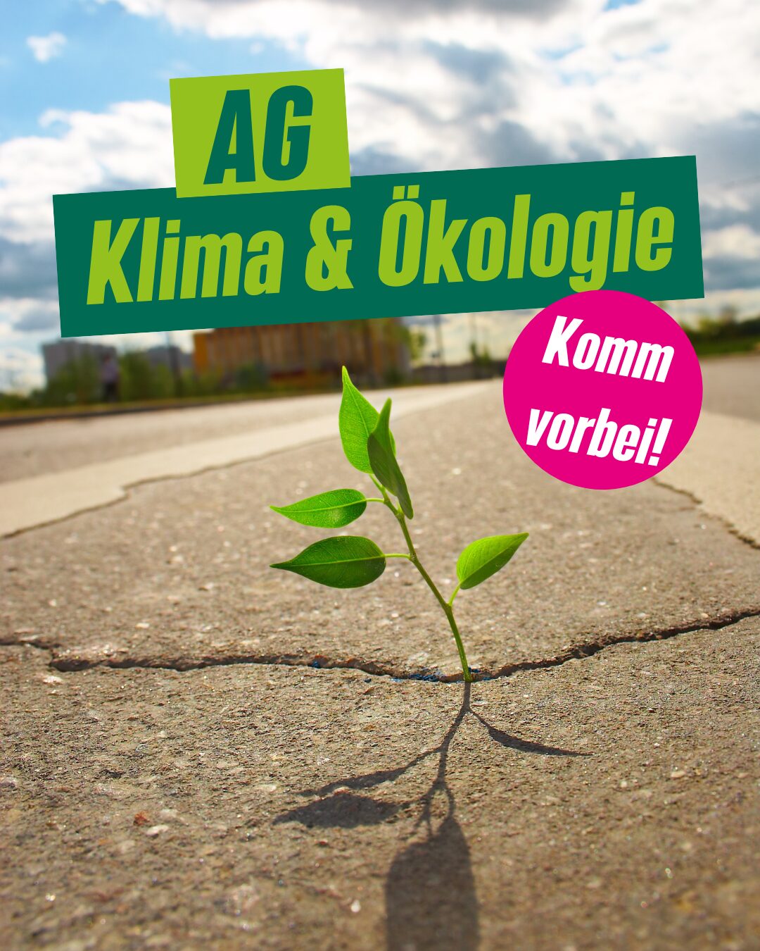 AG Klima und Ökologie