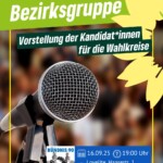 Bezirksgruppe "Vorstellung unserer Kandidat*innen für die Wahlkreise"