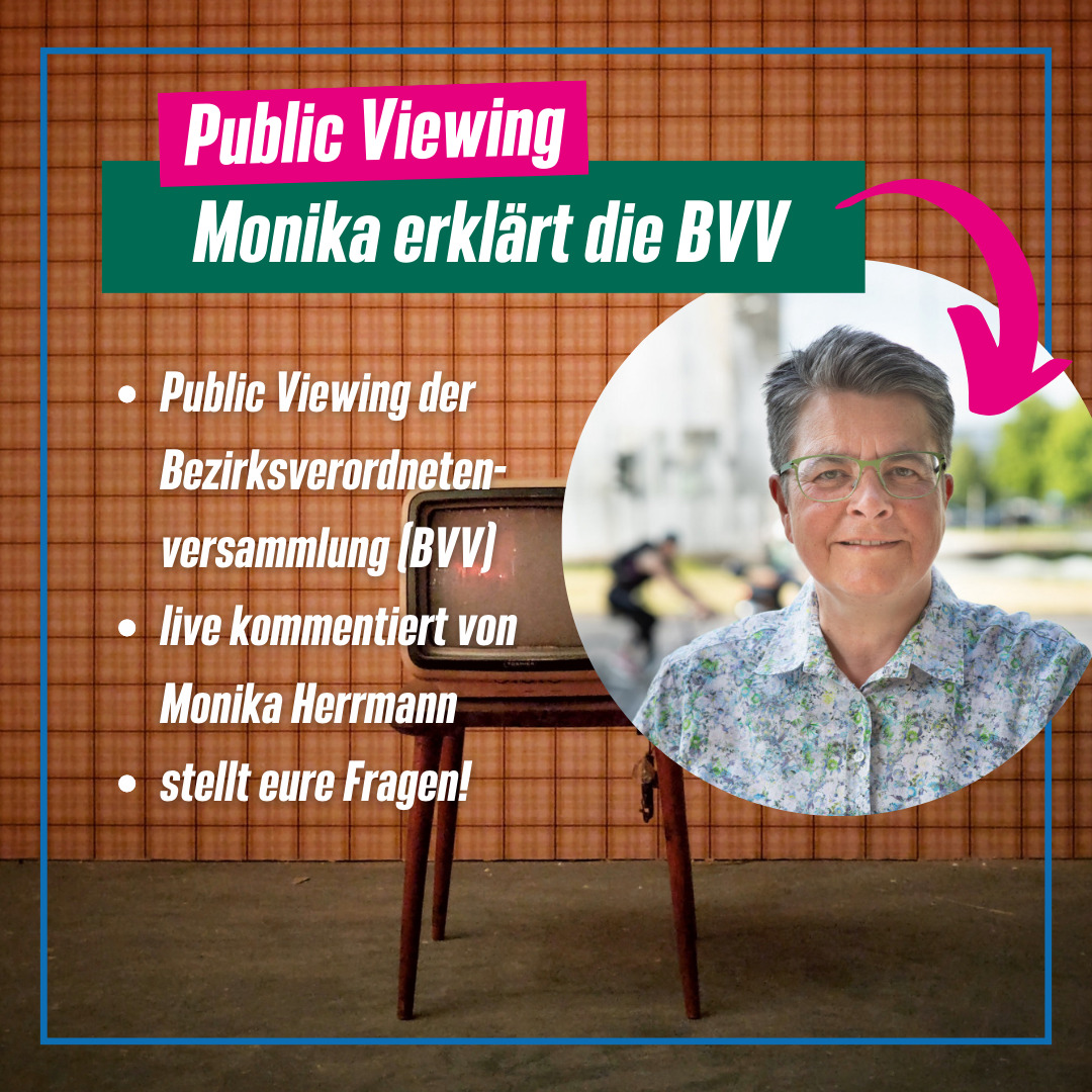 BVV Public Viewing - Monika erklärt die BVV