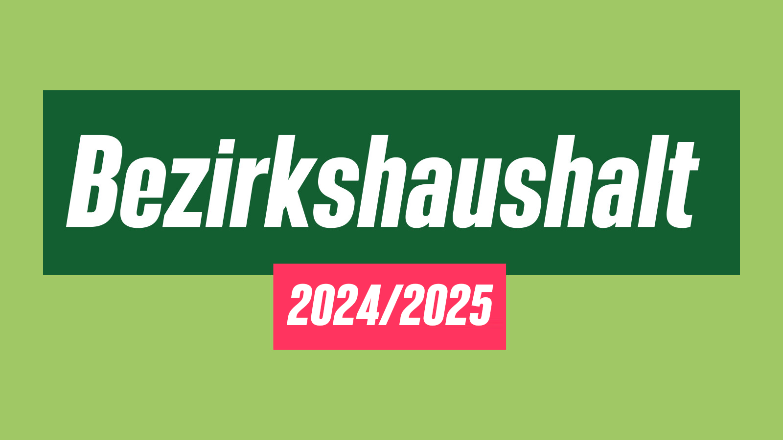 Bezirkshaushalt 2024/2025