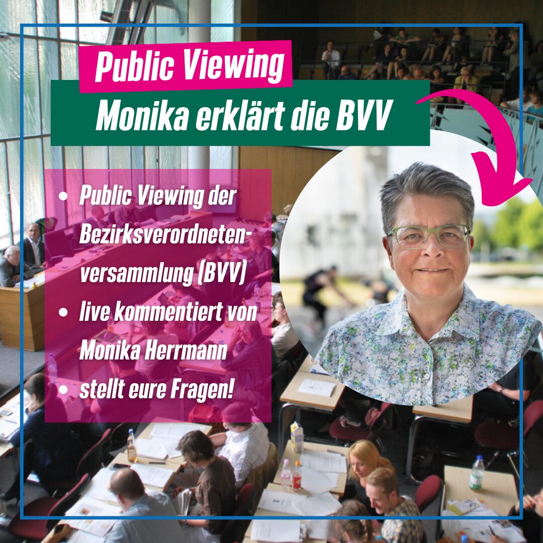 Monika erklärt die BVV (Bezirksverordnetenversammlung)