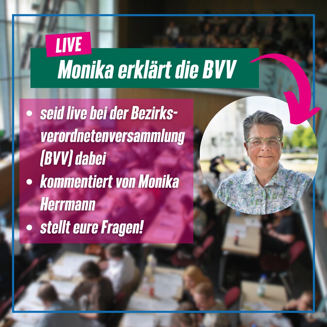 Monika erklärt die Bezirksverordnetenversammlung (BVV)