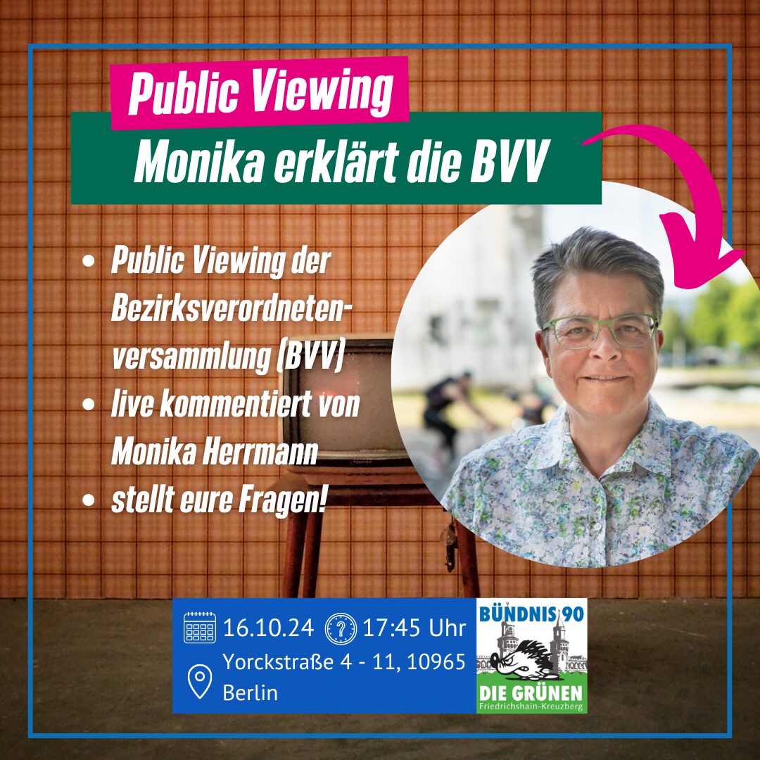 Monika erklärt die Bezirksverordnetenversammlung (BVV)