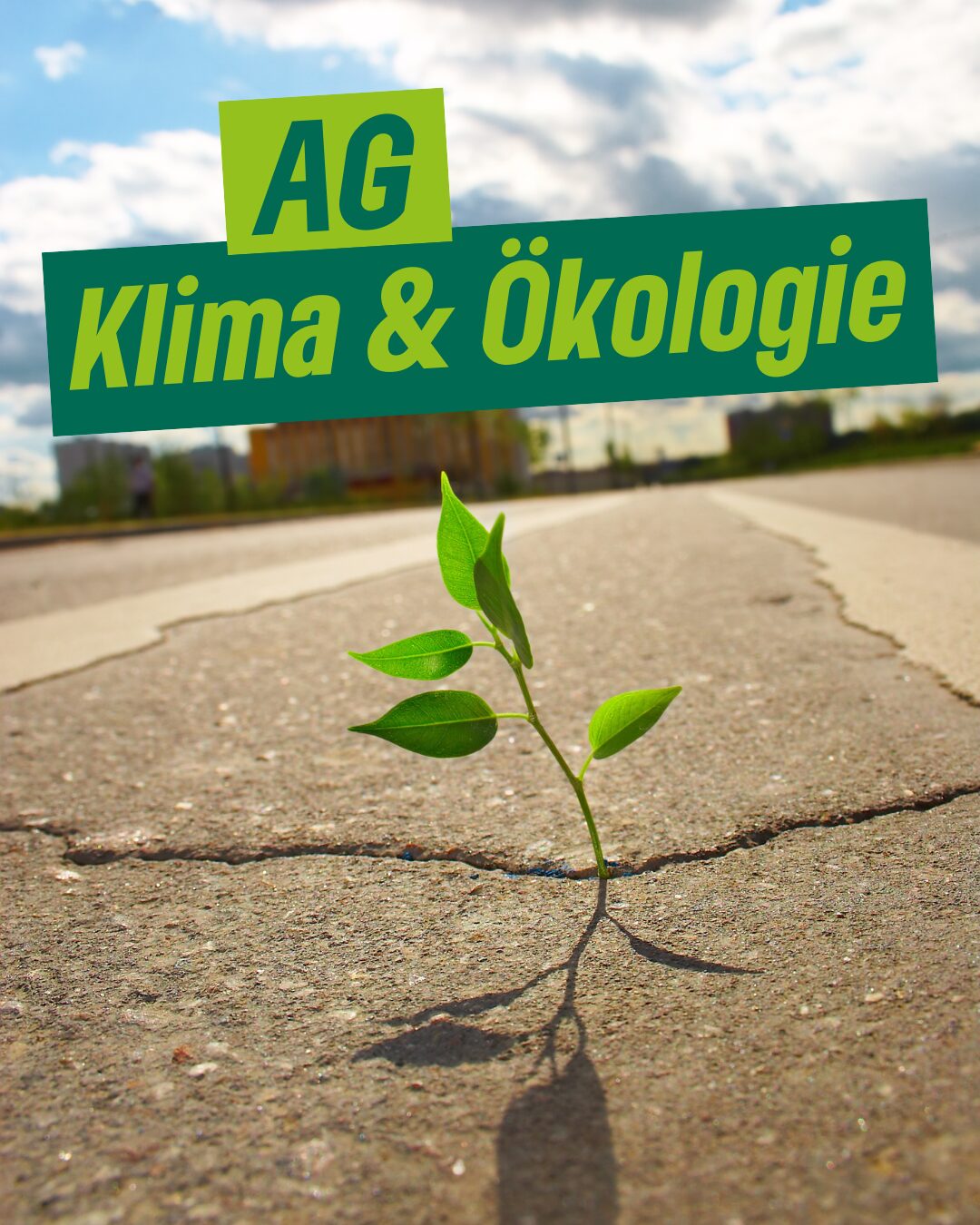 AG Klima und Ökologie