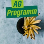 AG Programm: Landeswahlprogramm 2026