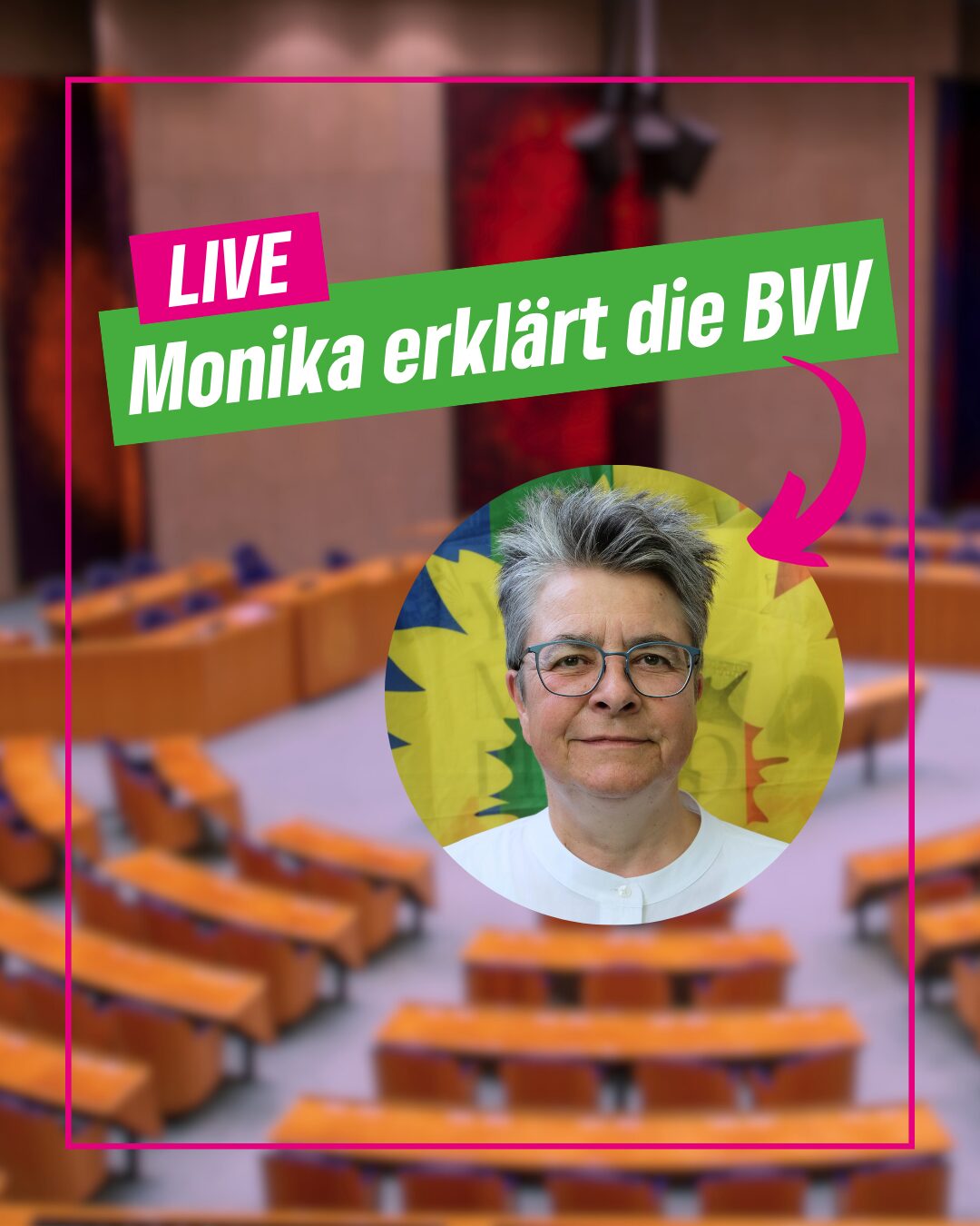 Monika erklärt die BVV